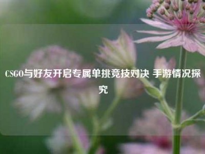 CSGO与好友开启专属单挑竞技对决 手游情况探究