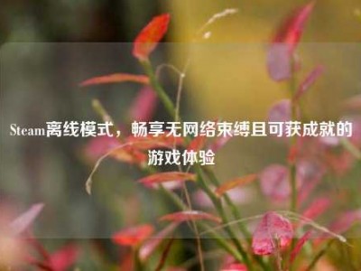Steam离线模式，畅享无网络束缚且可获成就的游戏体验