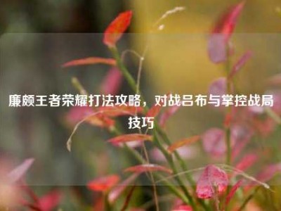 廉颇王者荣耀打法攻略，对战吕布与掌控战局技巧
