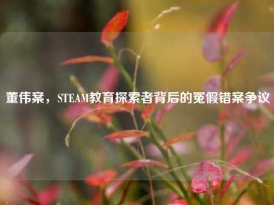 董伟案，STEAM教育探索者背后的冤假错案争议
