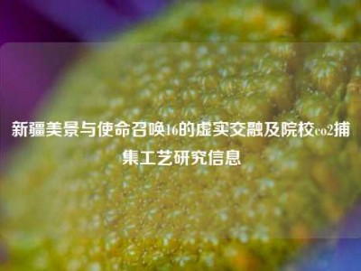 新疆美景与使命召唤16的虚实交融及院校co2捕集工艺研究信息