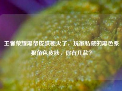 王者荣耀黑帮皮肤梗火了，玩家私藏的黑色系狠角色皮肤，你有几款？