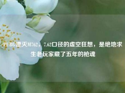 PUBG湮灭M762，7.62口径的虚空狂想，是绝地求生老玩家藏了五年的枪魂