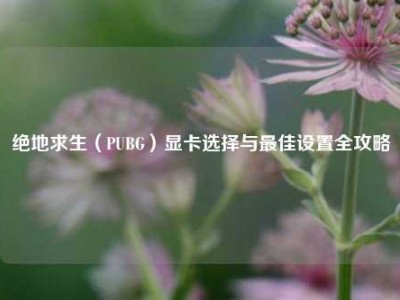 绝地求生（PUBG）显卡选择与最佳设置全攻略