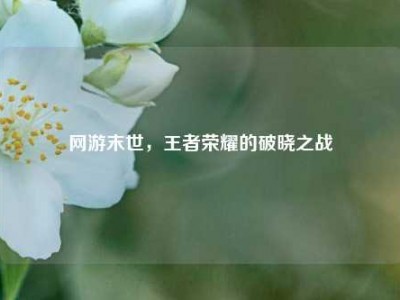 网游末世，王者荣耀的破晓之战