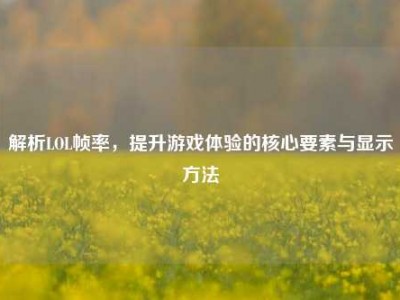解析LOL帧率，提升游戏体验的核心要素与显示方法