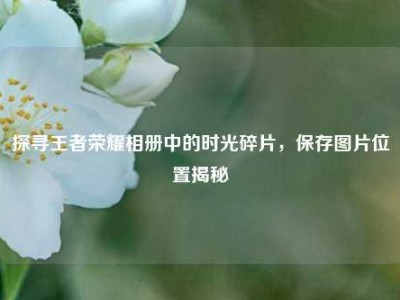 探寻王者荣耀相册中的时光碎片，保存图片位置揭秘