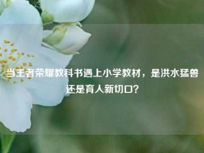 当王者荣耀教科书遇上小学教材，是洪水猛兽还是育人新切口？