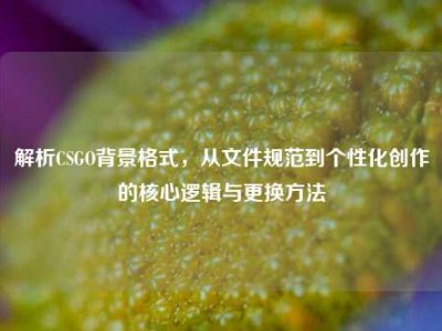 解析CSGO背景格式，从文件规范到个性化创作的核心逻辑与更换方法