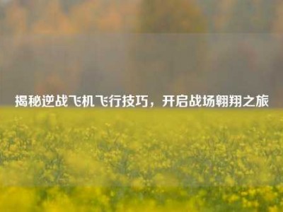 揭秘逆战飞机飞行技巧，开启战场翱翔之旅