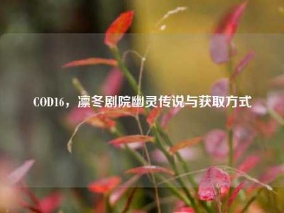 COD16，凛冬剧院幽灵传说与获取方式