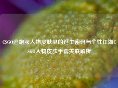 CSGO逃跑服人物皮肤里的逃生密码与个性江湖CSGO人物皮肤手套关联解析
