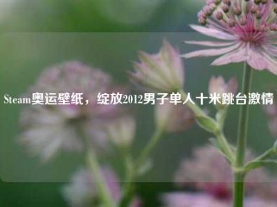 Steam奥运壁纸，绽放2012男子单人十米跳台激情