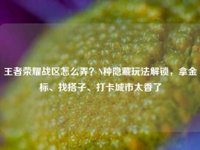 王者荣耀战区怎么弄？N种隐藏玩法解锁，拿金标、找搭子、打卡城市太香了