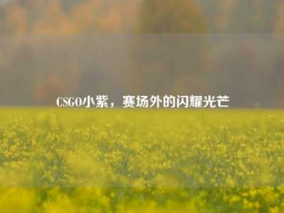CSGO小紫，赛场外的闪耀光芒