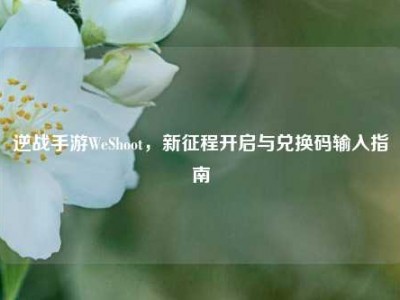 逆战手游WeShoot，新征程开启与兑换码输入指南