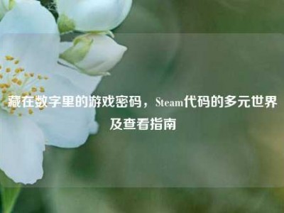藏在数字里的游戏密码，Steam代码的多元世界及查看指南