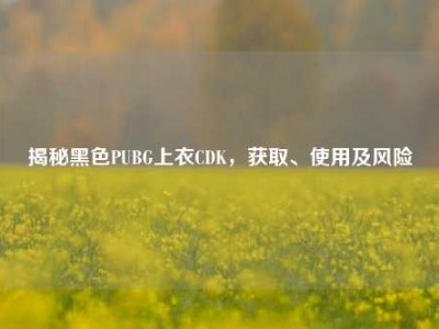 揭秘黑色PUBG上衣CDK，获取、使用及风险