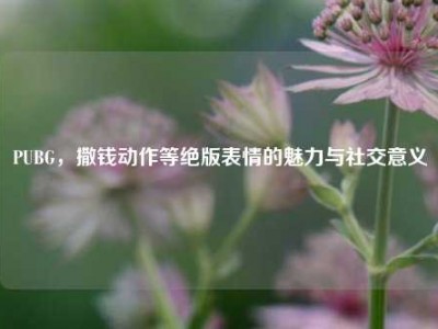 PUBG，撒钱动作等绝版表情的魅力与社交意义