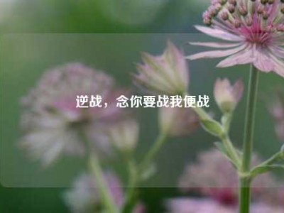 逆战，念你要战我便战