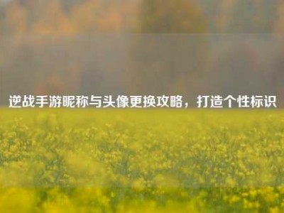 逆战手游昵称与头像更换攻略，打造个性标识
