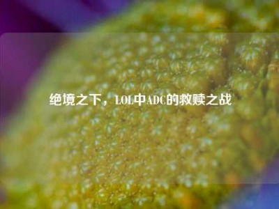 绝境之下，LOL中ADC的救赎之战