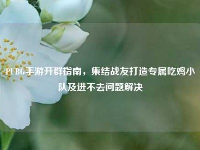 PUBG手游开群指南，集结战友打造专属吃鸡小队及进不去问题解决