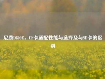 尼康D800E，CF卡适配性能与选择及与SD卡的区别