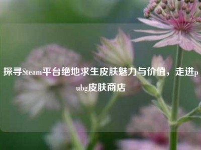 探寻Steam平台绝地求生皮肤魅力与价值，走进pubg皮肤商店