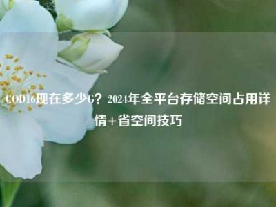 COD16现在多少G？2024年全平台存储空间占用详情+省空间技巧