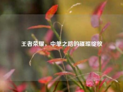 王者荣耀，中单之路的璀璨绽放
