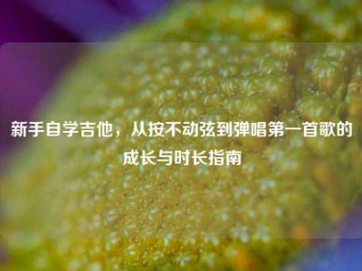新手自学吉他，从按不动弦到弹唱第一首歌的成长与时长指南