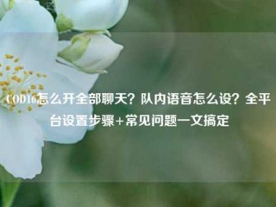 COD16怎么开全部聊天？队内语音怎么设？全平台设置步骤+常见问题一文搞定