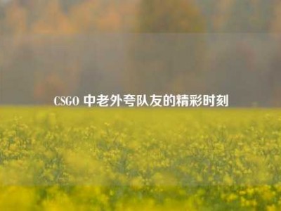 CSGO 中老外夸队友的精彩时刻