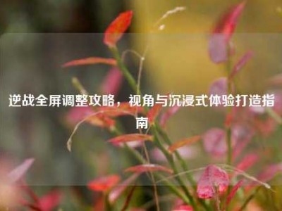 逆战全屏调整攻略，视角与沉浸式体验打造指南