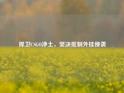 捍卫CSGO净土，坚决抵制外挂侵袭