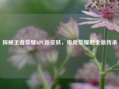 探秘王者荣耀KPL新皮肤，电竞荣耀的全新传承