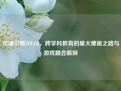 优课引燃STEAM，跨学科教育的星火燎原之路与游戏融合新探