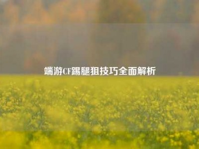 端游CF踢腿狙技巧全面解析