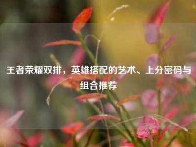 王者荣耀双排，英雄搭配的艺术、上分密码与组合推荐