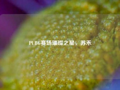 PUBG赛场璀璨之星，苏禾