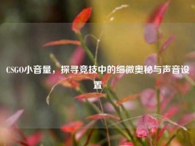 CSGO小音量，探寻竞技中的细微奥秘与声音设置