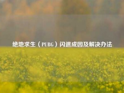 绝地求生（PUBG）闪退成因及解决办法