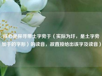 核心是探寻带土字旁于（实际为圩，是土字旁加于的字形）的读音，故直接给出该字及读音）