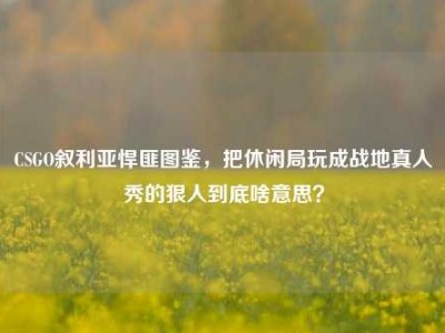 CSGO叙利亚悍匪图鉴，把休闲局玩成战地真人秀的狠人到底啥意思？