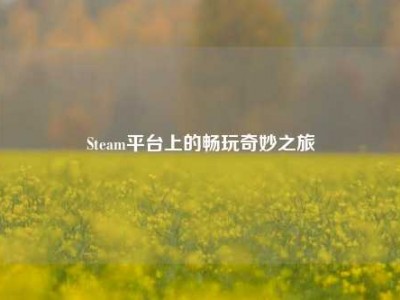 Steam平台上的畅玩奇妙之旅