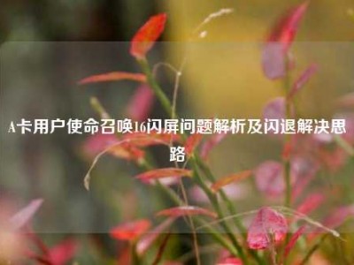 A卡用户使命召唤16闪屏问题解析及闪退解决思路