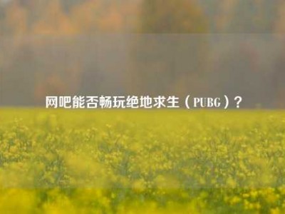 网吧能否畅玩绝地求生（PUBG）？
