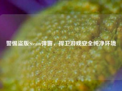 警惕盗版Steam弹窗，捍卫游戏安全纯净环境