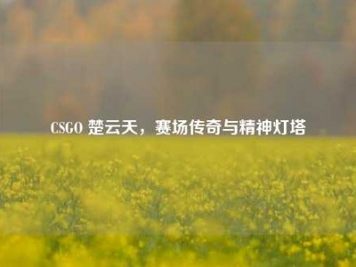 CSGO 楚云天，赛场传奇与精神灯塔